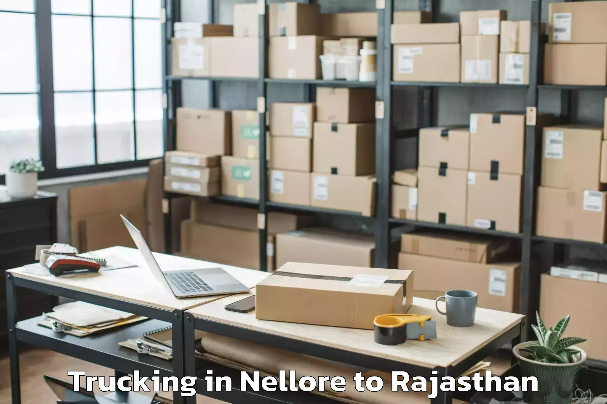 Hassle-Free Nellore to Madhav University Pindwara Trucking